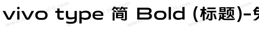 vivo type 简 Bold (标题)字体转换
